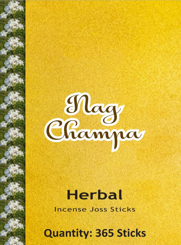 FLIYOO 365 Daily Nag Champa 365 sticks